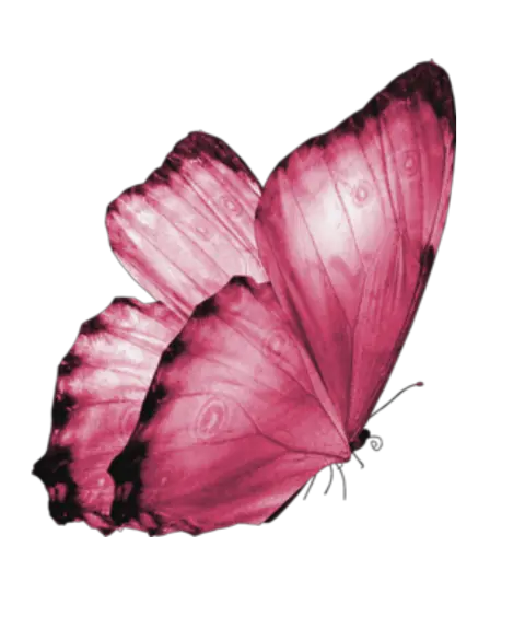 Butterfly Gold Png