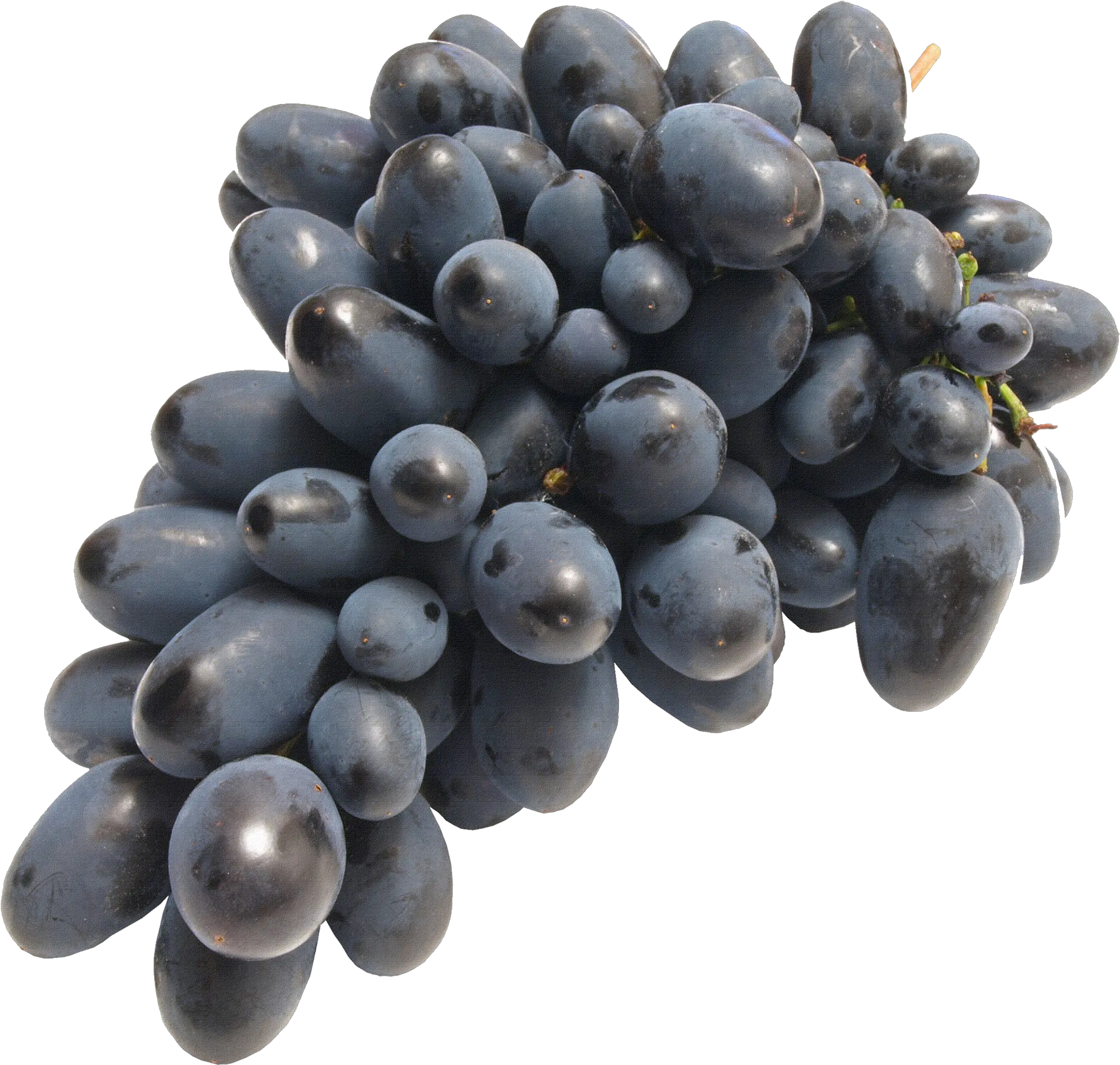 Download Black Grapes Png Image For Free Grape