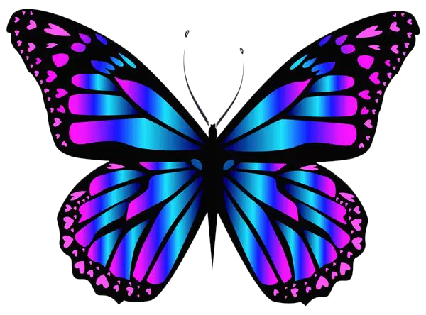 Butterfly Cute Png