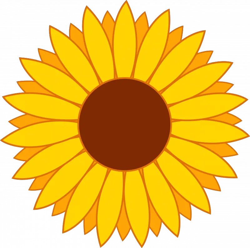 Daisy Sunflowers Png