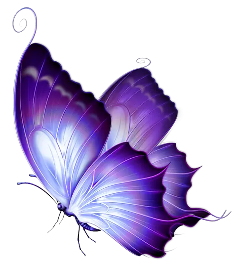 Butterfly Company Logo Png