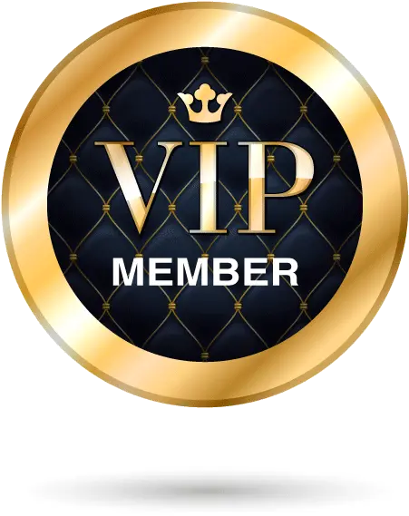 Download 536 610 In Vip By T Shirt Roblox Vip Full Emergency Action Plan Png Vip Png