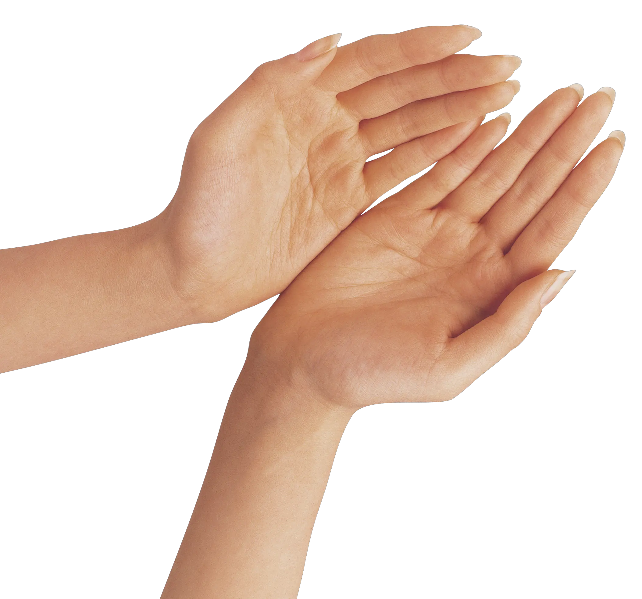 Hand Png Transparent Background Transparent Transparent Background Hand Png Praying Hands Png