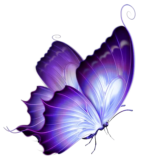 Blue Butterfly Png For Picsart