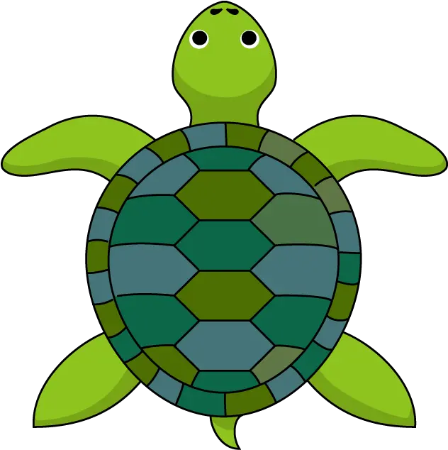 Turtle Clipart Top Top View Turtle Png Turtle Clipart Png