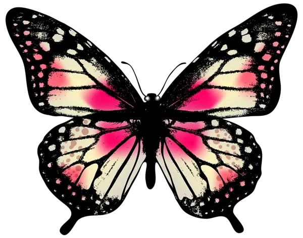 Png Of Butterfly