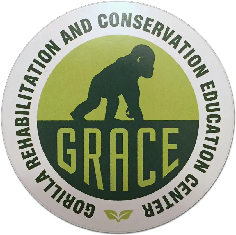 Grace Logo Sticker Federal Board Of Intermediate And Secondary Education Png Gorilla Logo