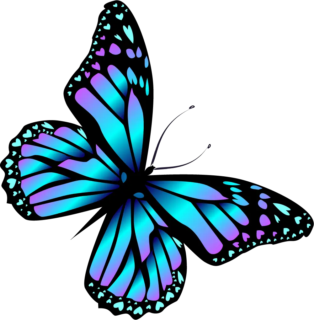 Butterfly Png Editing