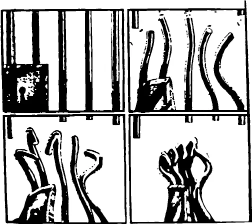 This Week In The Prison Industrial Complex July 7 Vertical Png Prison Bars Transparent