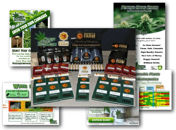 Percys Grow Room A Cannabis Growers Forum And Website Flyer Png Marijuana Plant Png