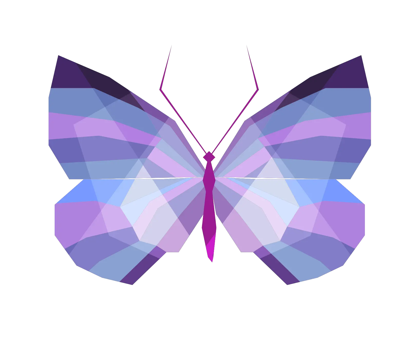 Butterfly Drawing Png