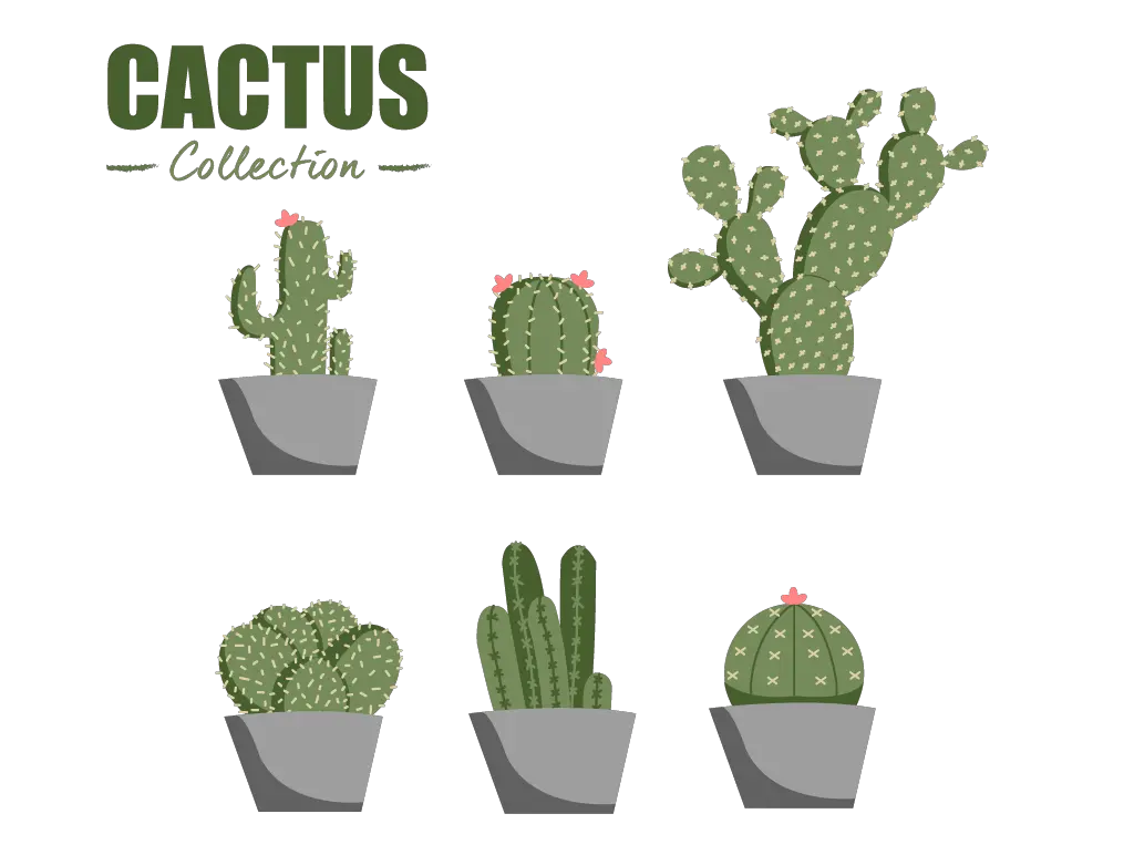 Flat Cactus Collection Vector Element Download Free Deltarune Png Cactus Clipart Png