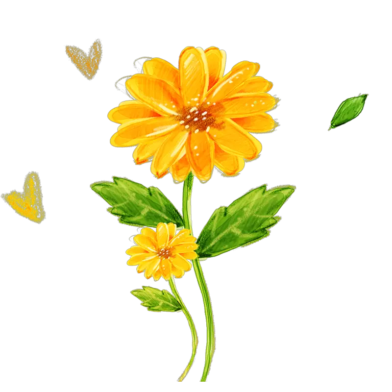 Cow Sunflower Dsign Png