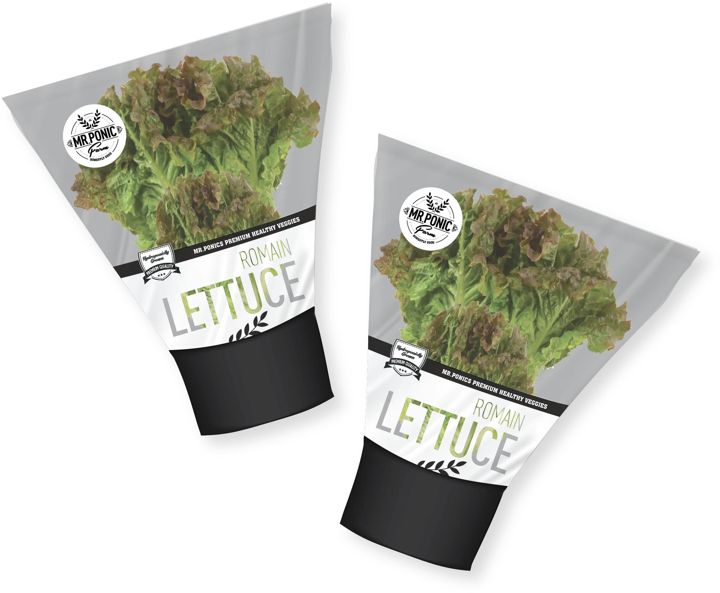 Download View Larger Image Lettuce Png Image With No Romaine Lettuce Lettuce Png