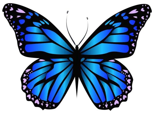Butterfly Mixer Png