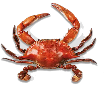 Home Tasty Tails Crabs Png Crawfish Icon