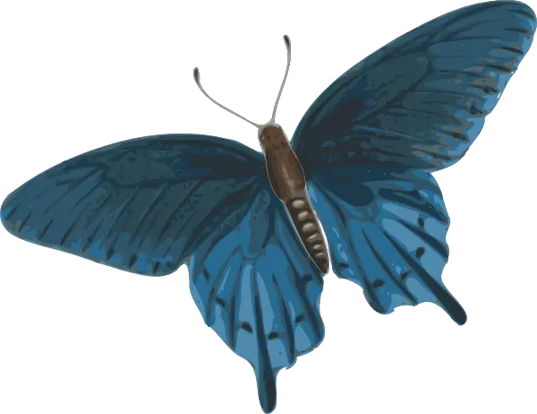 Blue Butterfly Vector Png