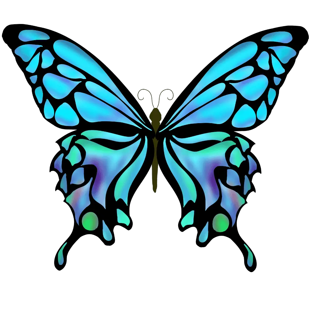 Blue Morpho Butterfly Png