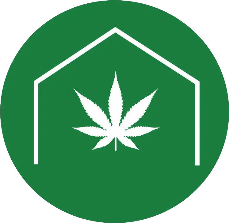 Gorilla Glue Stealth Grow Final Update U2014 Greenbox Grown Vegetarian Marijuana Png Gorilla Glue Logo