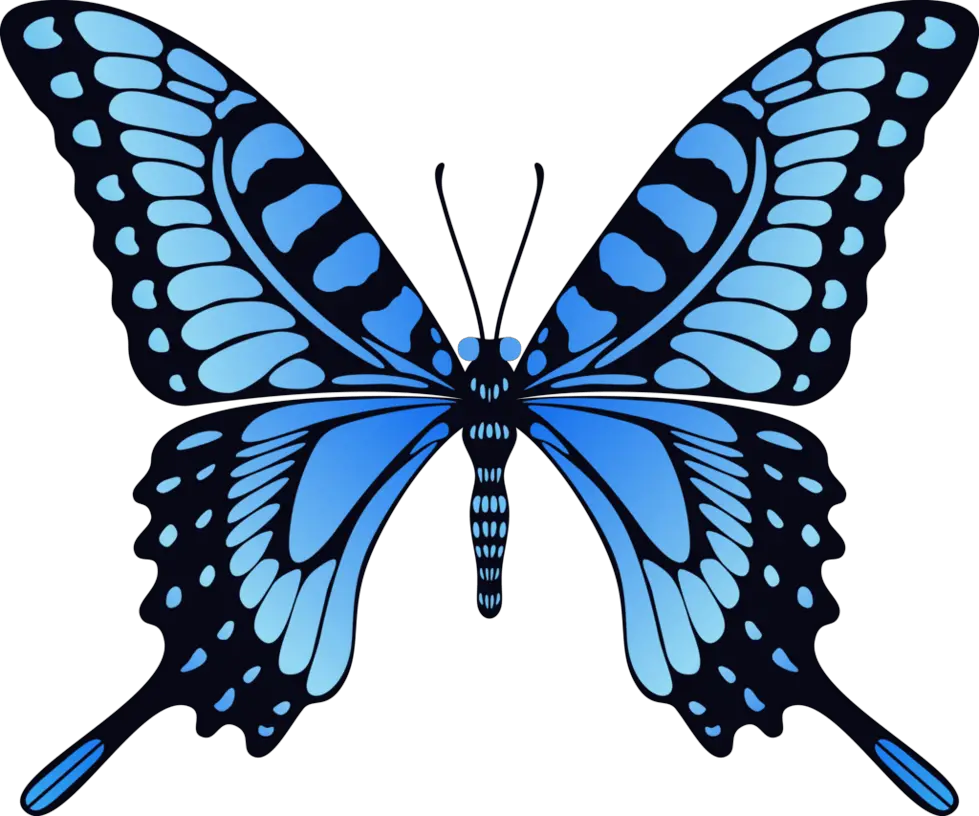 Butterfly Images Hd Png