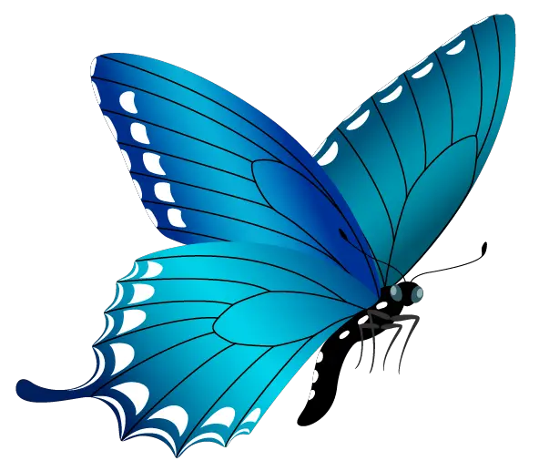 Butterfly Png Green