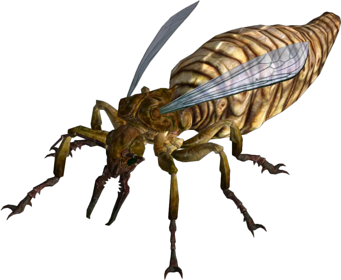 Fire Ant Queen Fallout Supplement Du0026d Wiki Fallout New Vegas Ant Png Ant Png