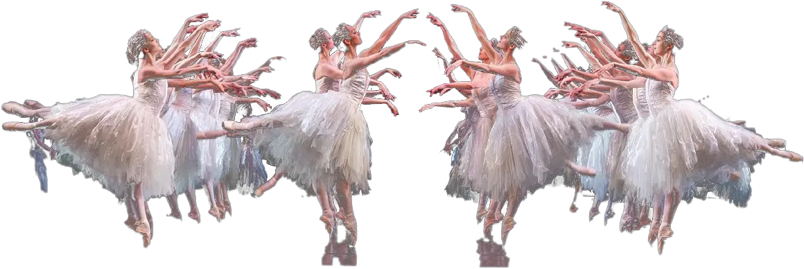 Ballet Swan Lake Png Download Image Arts Turkey Swan Png