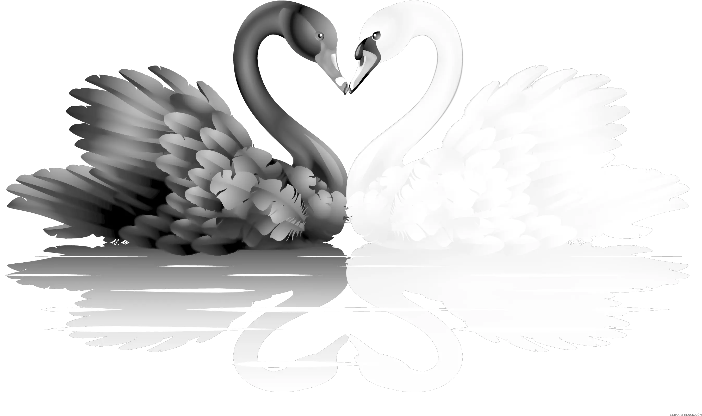 Clipartblack Com Animal Free Images Black Swan Png Swan Png