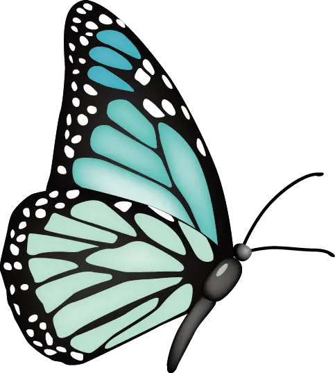 Butterfly Png Hd Download