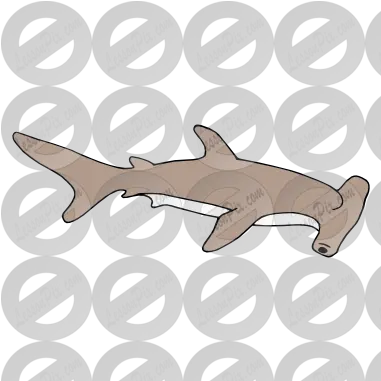 Hammerhead Shark Clipart Transparent Tiger Shark Png Shark Clipart Transparent Background