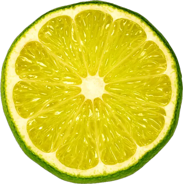 Download Png Library Stock Psd Official Green Lemon Sliced Png Lime Slice Png