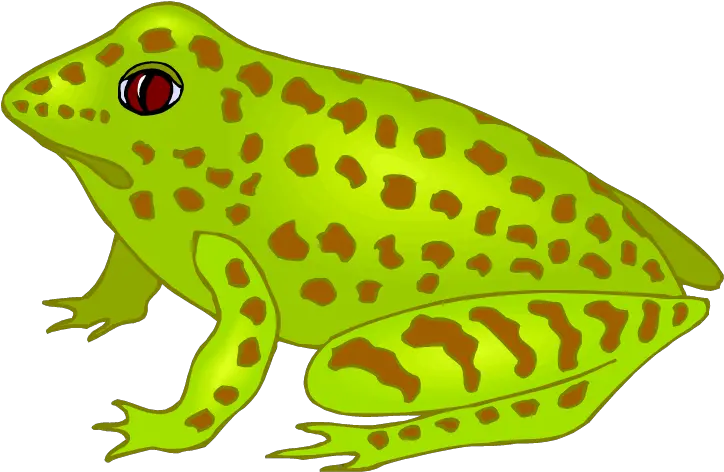 Spotted Frog Clipart Png Image Frog Clipart Frog Clipart Png