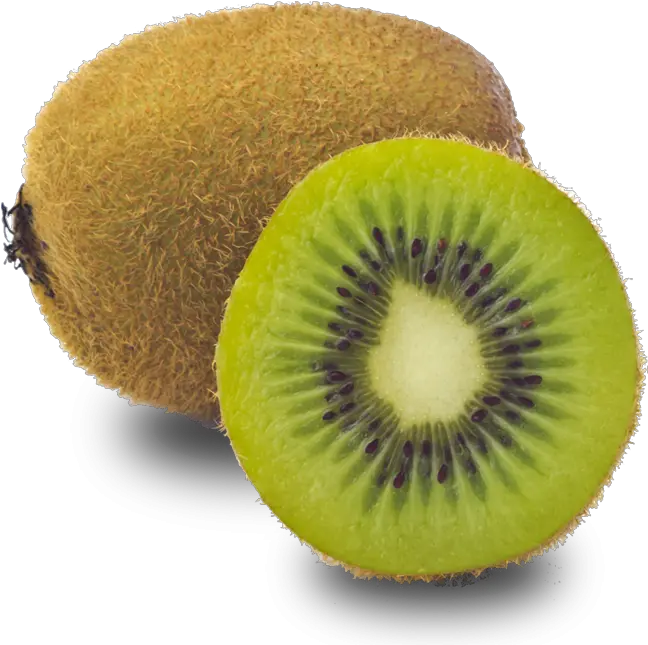 Kiwi Hd Png Transparent Hdpng Images Pluspng Kiwi Kiwi Transparent