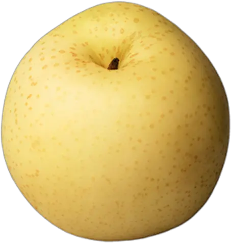 Download Asian Pear Png Free Asian Pear Png Pear Png