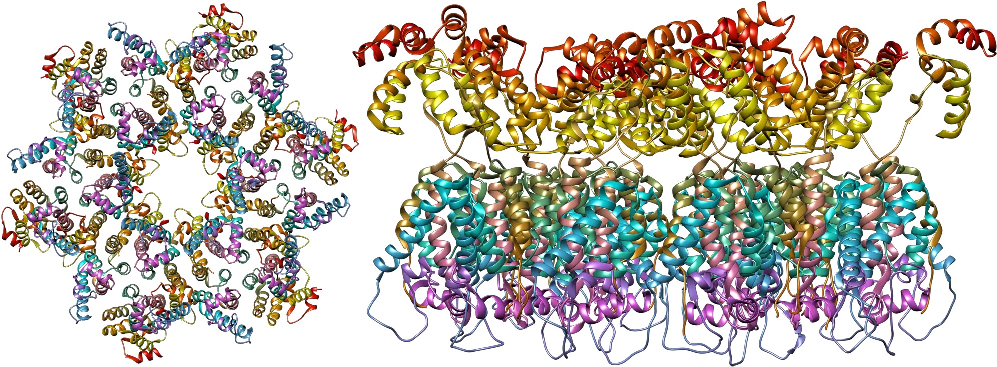 Filethe Structure Of The Immature Hiv 1 Capsid In Intact Hiv Virus Molecular Structure Png Virus Png