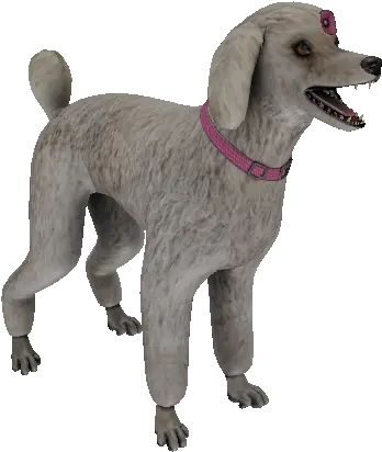 Mobile Goosebumps Night Of Scares Fifi The Vampire Png Poodle Icon