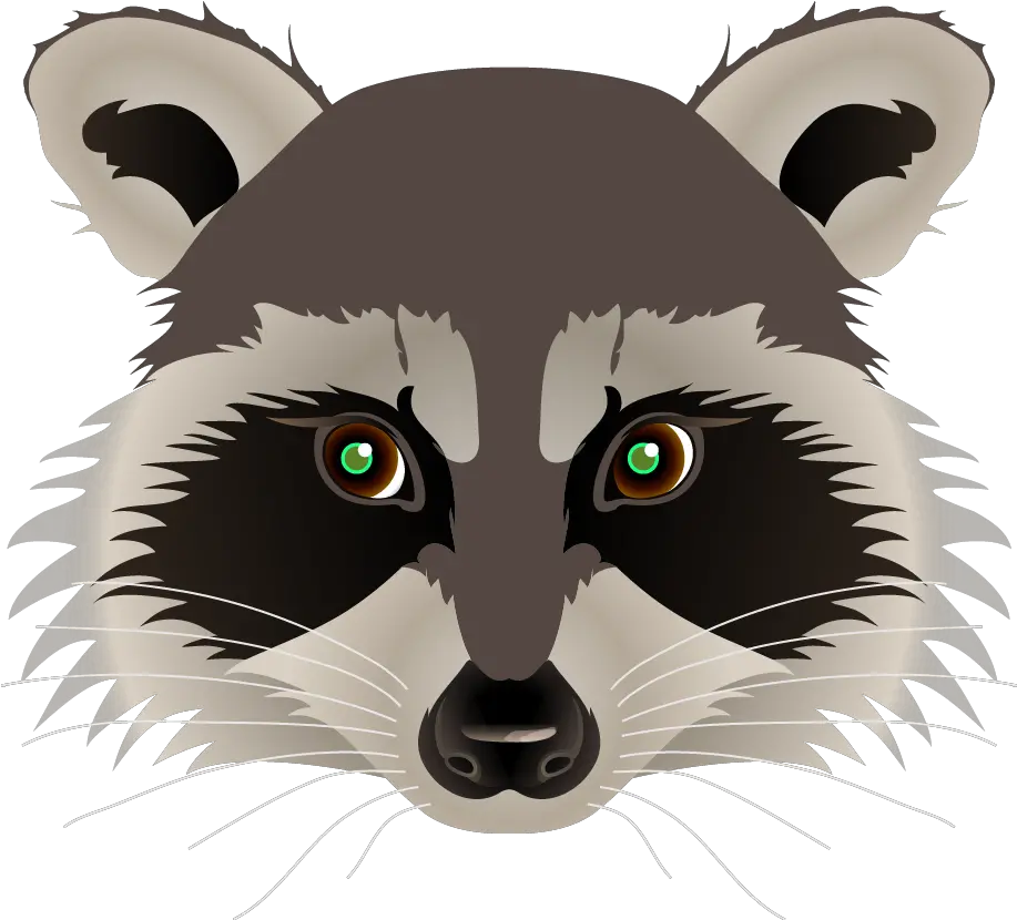 Raccoon Face Png 4 Image Raccoon Clipart Raccoon Transparent Background