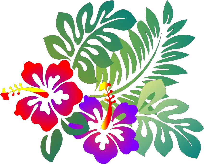 Hibiscus Png Svg Clip Art For Web Download Clip Art Png Hibiscus Clip Art Hibiscus Png