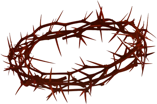 Hd Crown Of Thorns Png Transparent Crown Of Thorns Png Thorns Png