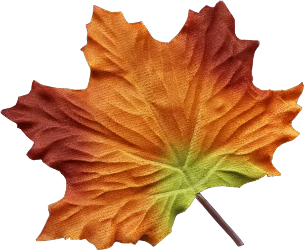 Maple Leaves Watercolor Painting Png Maple Leaves Png