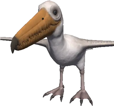 The Miocene Pelican Png Pelican Png