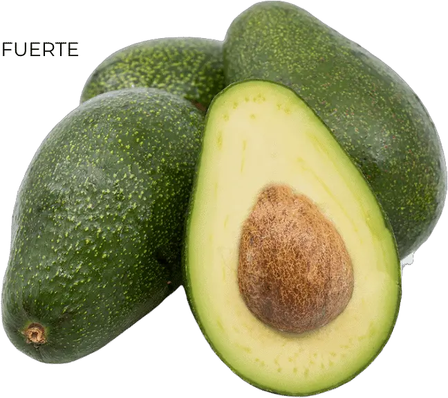 Avocados All You Need To Know Salads With Anastasia Hass Avocado Png Avocado Png