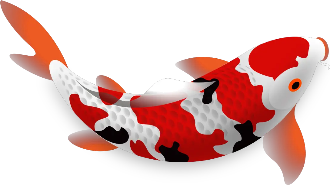 Koibio Koi Nft Png Koi Icon