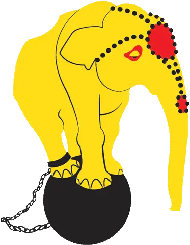 Circus Animals Png Download Image Arts Circus Animals Abuse Cartoons Circus Elephant Png