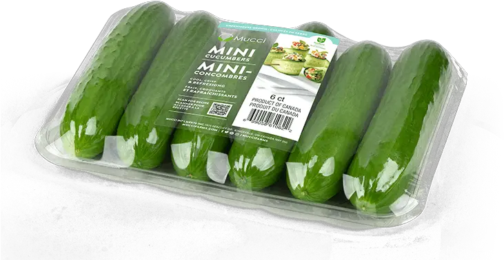 Mucci Farms Mini English Cucumber Png Cucumber Transparent