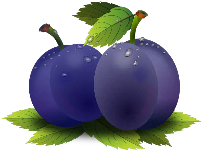 Plum Fruit Fruits Png