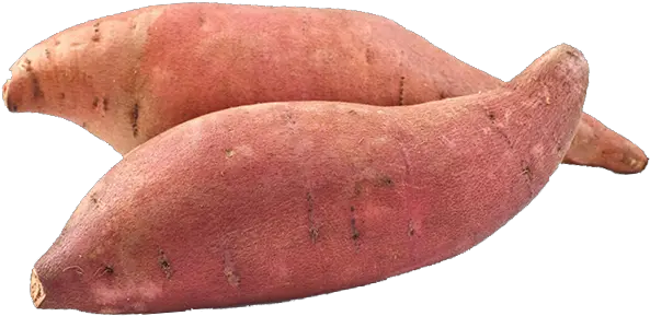 Sweet Potato Sweet Potato Png Potato Png