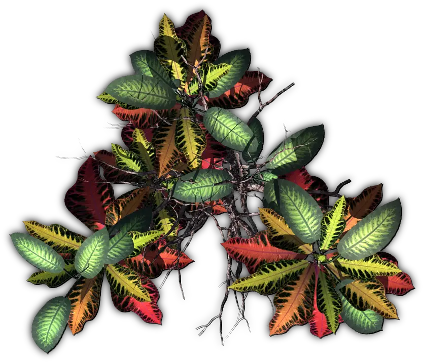 Tropical Plants Png Jungletreec Illustration 2571949 Illustration Tropical Plants Png