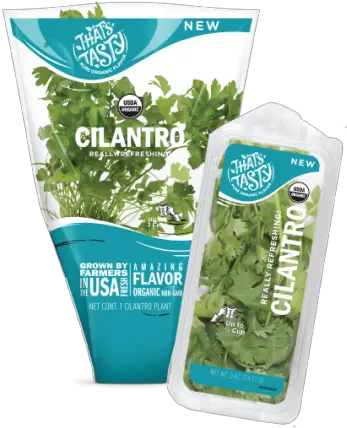 Cilantro Moss Png Cilantro Png