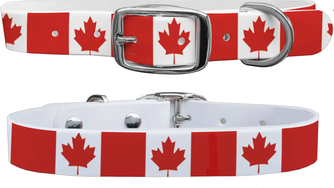 Canada Maple Leaf Dog Collar Belt Png Canada Maple Leaf Png